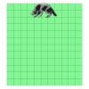 11x12 DTF Transfer Thumbnail