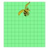 11x12 DTF Transfer Thumbnail