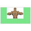 22" x 12" DTF Transfer Thumbnail