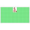 22" x 12" DTF Transfer Thumbnail
