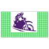22" x 12" DTF Transfer Thumbnail
