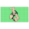 22" x 12" DTF Transfer Thumbnail