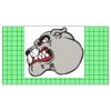 22" x 12" DTF Transfer Thumbnail