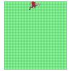 22" x 24" DTF Transfer Thumbnail