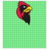 22" x 24" DTF Transfer Thumbnail