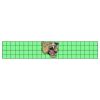 22" x 4" DTF Transfer Thumbnail