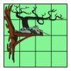 4" X 4" DTF Transfer Thumbnail