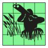 4" X 4" DTF Transfer Thumbnail