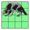 4" X 4" DTF Transfer Thumbnail