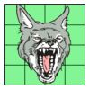4" X 4" DTF Transfer Thumbnail