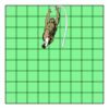 9" X 9" DTF Transfer Thumbnail