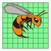 9" X 9" DTF Transfer Thumbnail