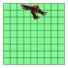 9" X 9" DTF Transfer Thumbnail