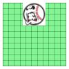 11" X 11" DTF Transfer Thumbnail