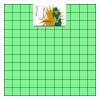 11" X 11" DTF Transfer Thumbnail