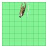 11" X 11" DTF Transfer Thumbnail