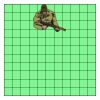 11" X 11" DTF Transfer Thumbnail