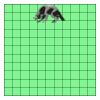 11" X 11" DTF Transfer Thumbnail