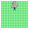 11" X 11" DTF Transfer Thumbnail