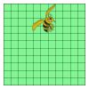 11" X 11" DTF Transfer Thumbnail