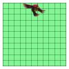 11" X 11" DTF Transfer Thumbnail
