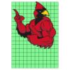 12" X 17" DTF Transfer Thumbnail