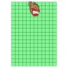 12" X 17" DTF Transfer Thumbnail